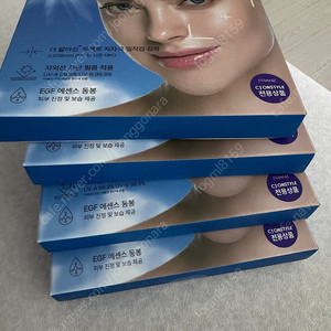 프란츠 최신상 투명 썬패치. 5박스