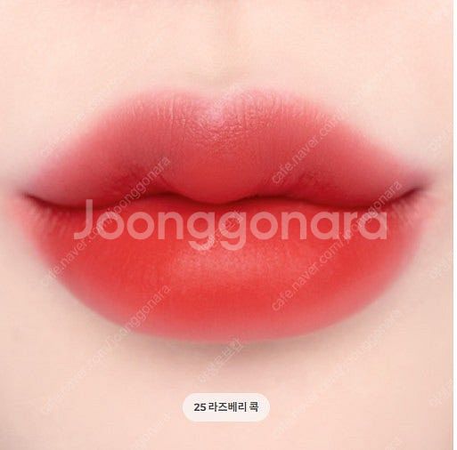 여러가지 틴트, 립밤 (톤핏선, 씨스터앤, 라카 프루티...--4