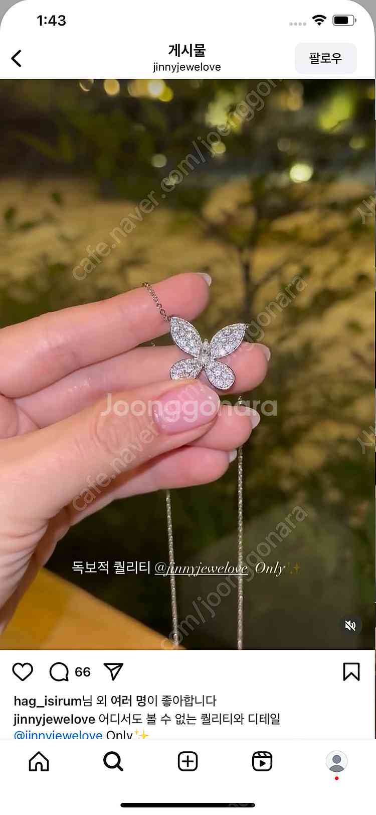 그라프 파베 버터플라이 나비 목걸이 새상품 (박스포함)--3