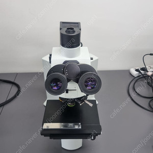 올림푸스 금속현미경 BX51M