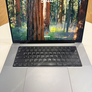 맥북프로 16 M1 MAX CTO 32GB 1TB (10코어CPU, 32코어GPU),