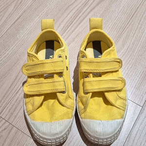 노베스타 26