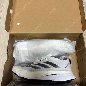 아디다스 보스턴12 280