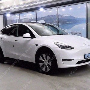 테슬라 모델 Y 중고 테슬라 중고 흰색 2021년식 76,343km 스탠다드 레인지 중고자동차