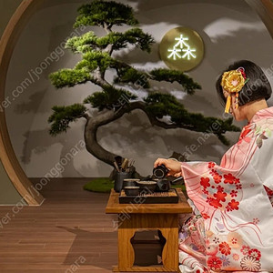 코타키나발루 선세보다 핫 한 거제도 스테이모리