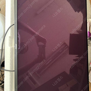 MSI 321UPX 모니터 팝니다 32인치 OLED