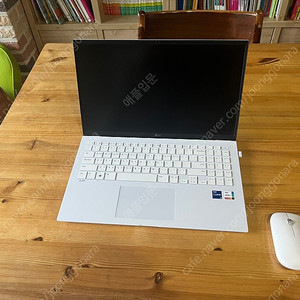 (네고가능)2022 lg 그램 1tb