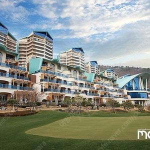 (최저가) 7/12일 홍천 소노펠리체 골드스위트(3룸) 29만 가실분~