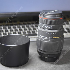 니콘 시그마 70-300mm 렌즈