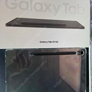 갤럭시탭 S9 5G 256기가 SM-X716N