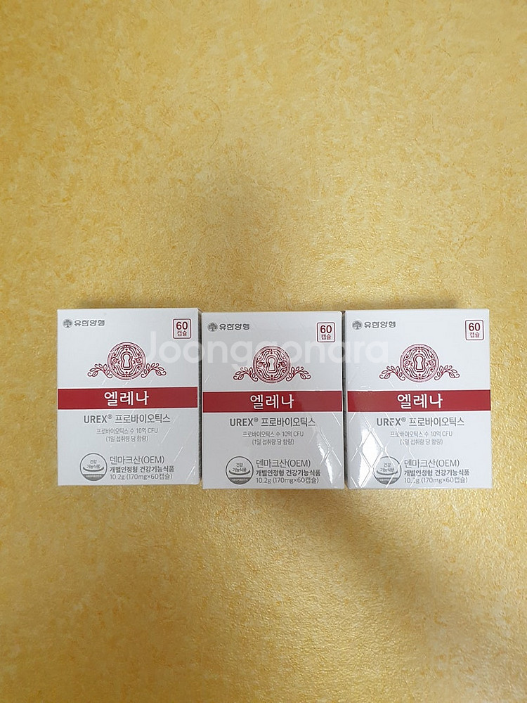 엘레나 판매합니다--0