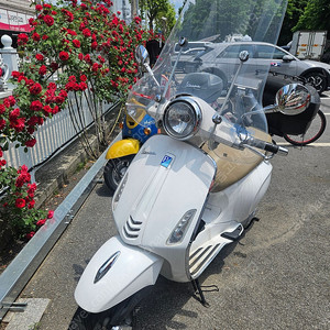 135만원 베스파 프리마베라125cc