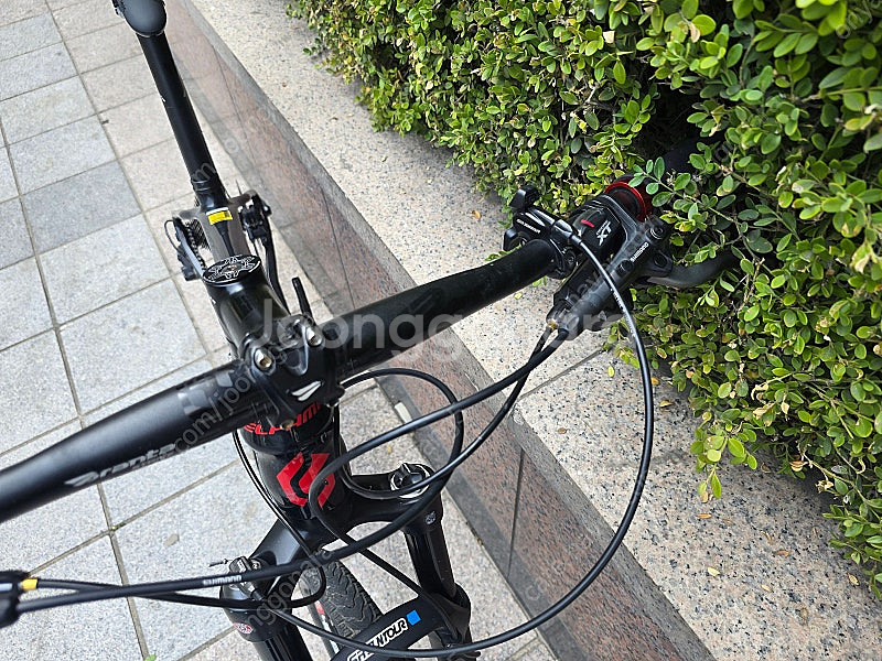 2021 엘파마 판타시아 S7 XT 22단 기획 카본 ...--8