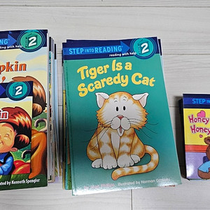 스텝인투더리딩2 정품책, 정품 cd