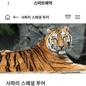 에버랜드 7월2일 ~ 7월13일 사파리스페셜투어