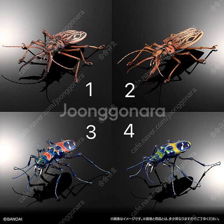 [반다이 생물대도감 어드밴스(온라인판) 대왕턱하늘소/길...--1
