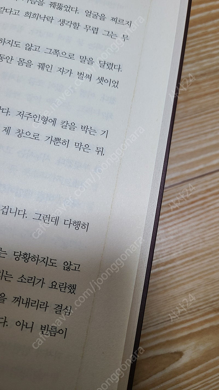 반비-나무를 담벼락에 끌고 들어가지 말라 1부 개인지--6