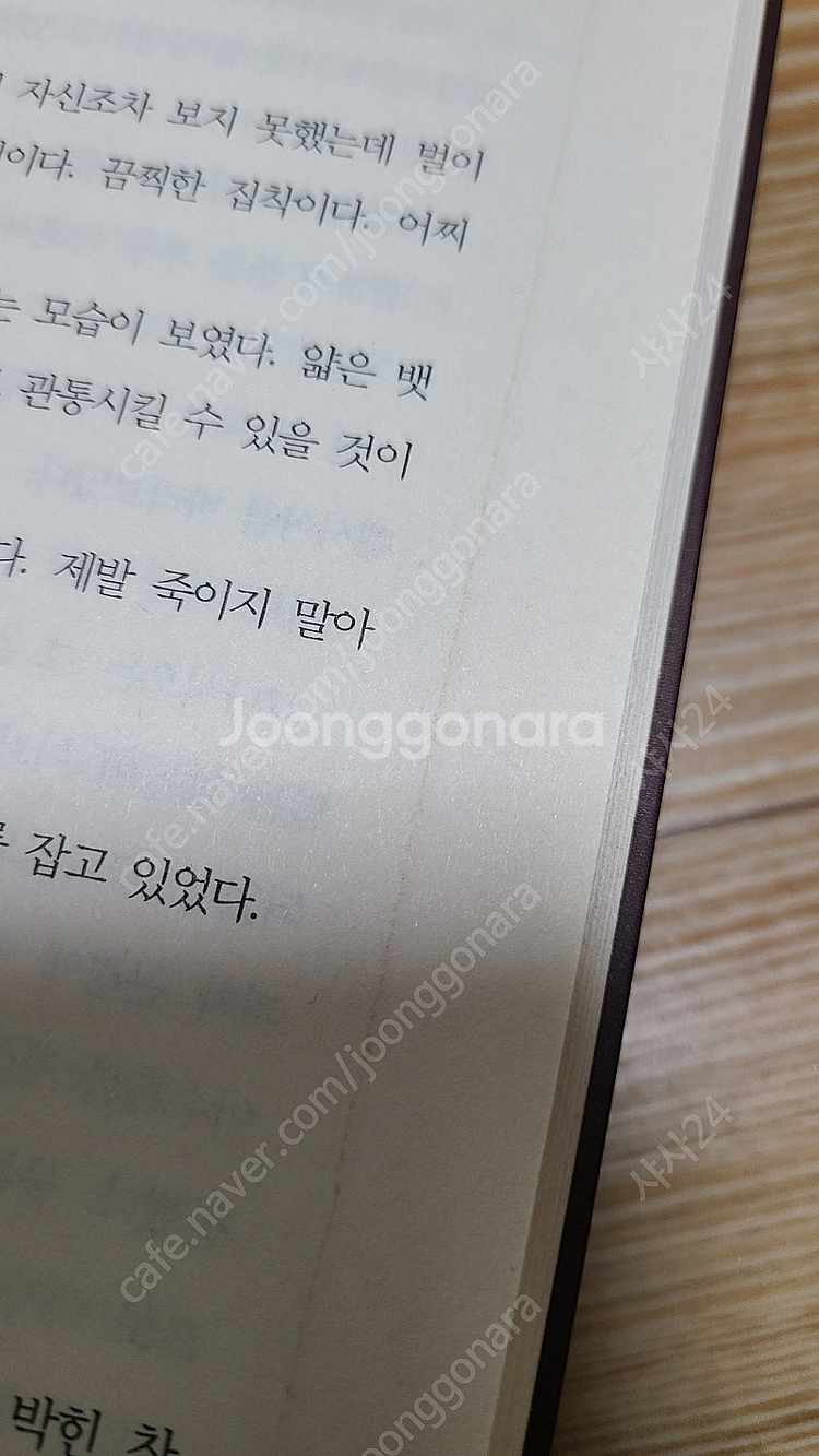 반비-나무를 담벼락에 끌고 들어가지 말라 1부 개인지--7