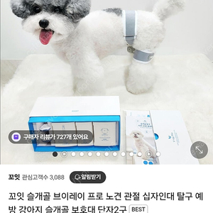꼬잇 슬개골 회복 보호대 S