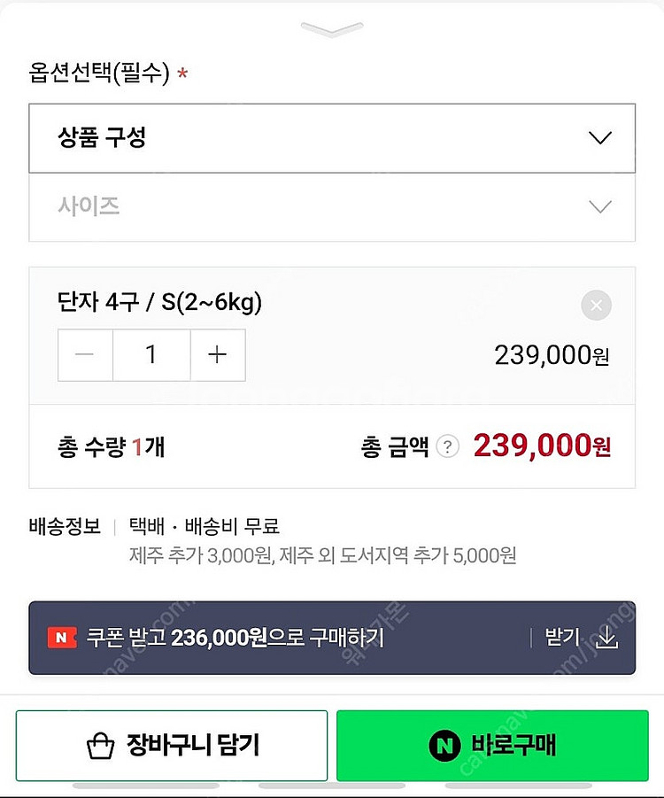 꼬잇 슬개골 회복 보호대 S--1