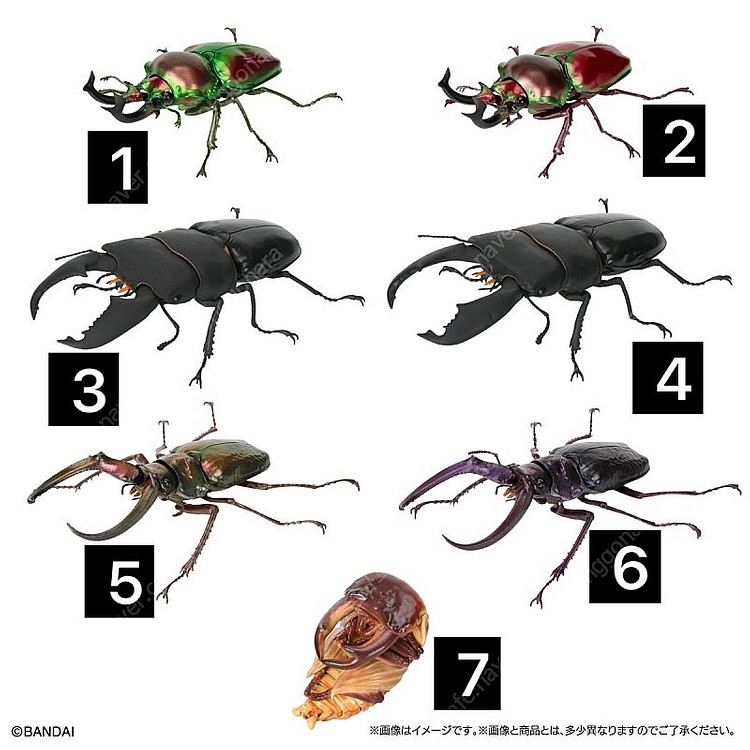 [반다이 생물대도감 온라인판] 사슴벌레 10탄--1