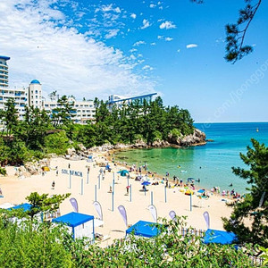 8월 1일 2일 삼척 쏠비치 스위트 오션뷰 가실분!