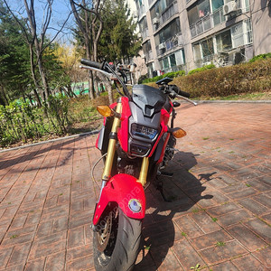 혼다 MSX125 판매