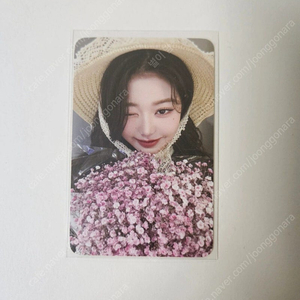 아이브 원영.사운드웨이브. 사웨. 포카. 엠파시