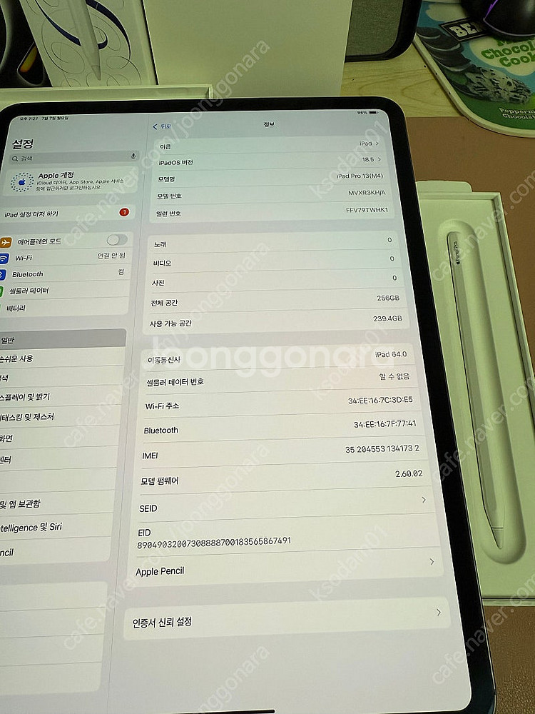 아이패드 프로 m4 13인치 7세대 256기가 셀룰러 ...--1