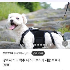 새상품) 펫츠오앤피 강아지 허리 척추 디스크 보조기 재활 보호대