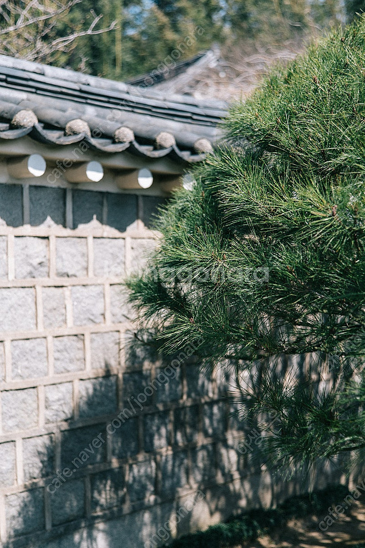 m42 마운트 코시논 cosinon 50mm 1.7 렌...--5