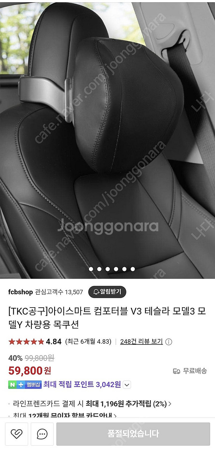 테슬라 아이스마트 V3 목쿠션 목베개--4