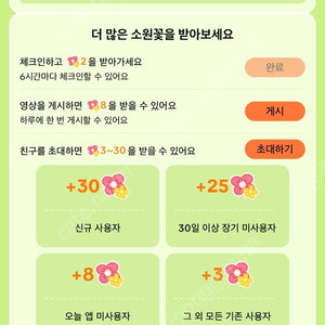 틱톡라이트 소원꽃 미접 15개