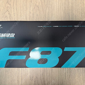 단순개봉 독거미 F87 회목축