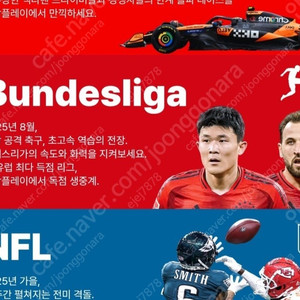 쿠팡 스포츠패스 대여 1경기당 1500원입니다