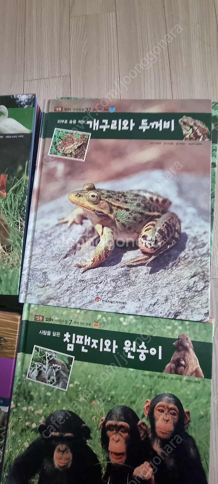 명품꼬마자연관찰89권 전권--4