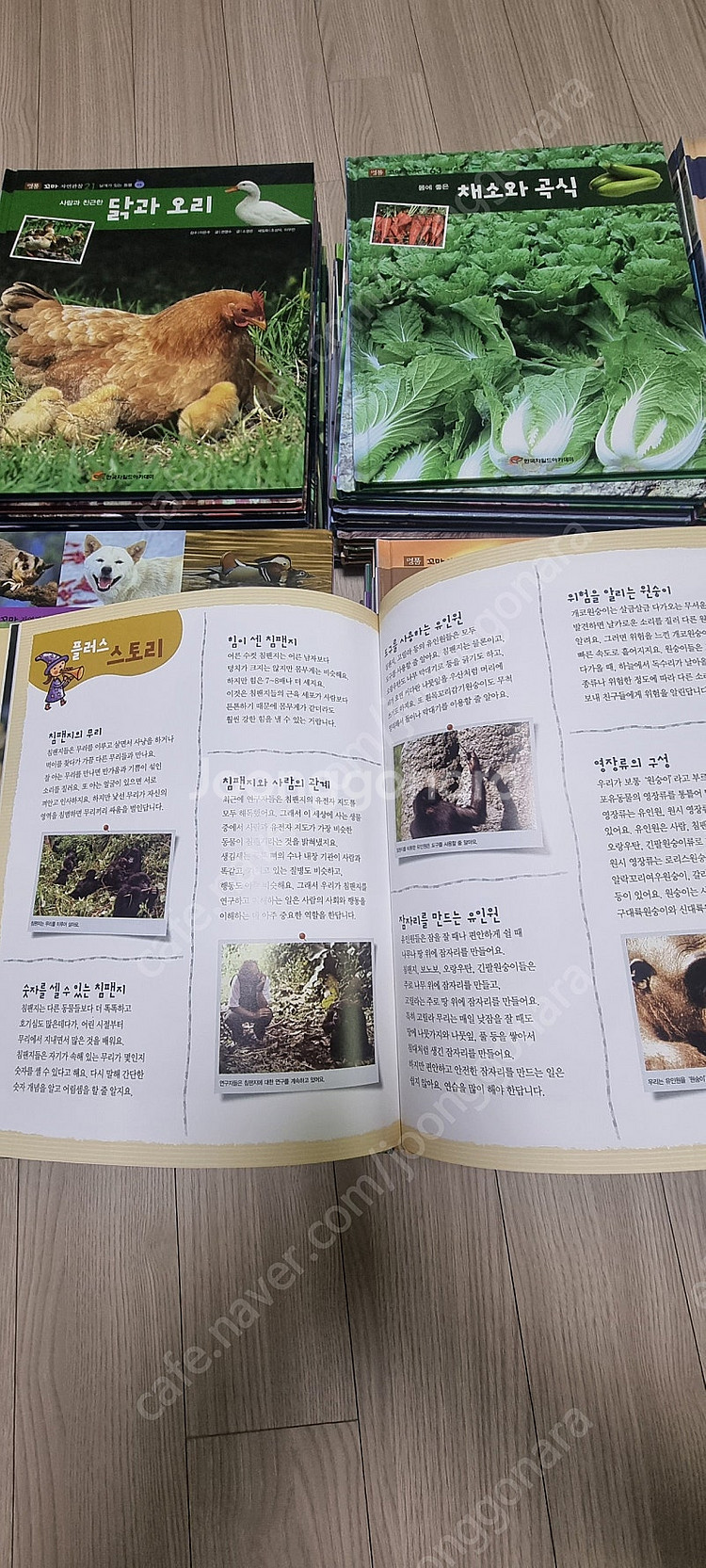 명품꼬마자연관찰89권 전권--9