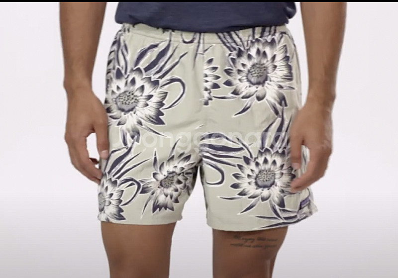 95~100,30 페어라이어 골프 가디건, 파타고니아 배기스 5인치 쇼츠 반바지--0