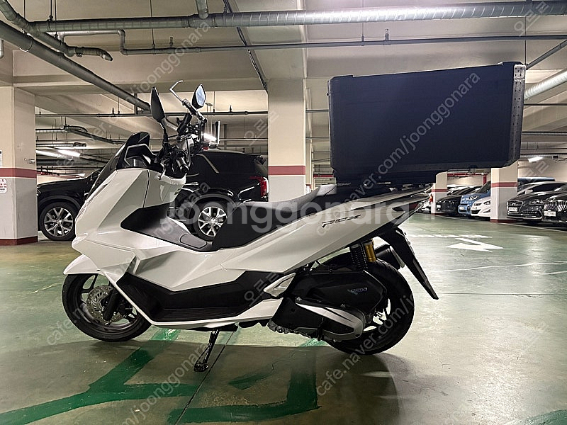 pcx125 25년식 화이트 팝니다--1
