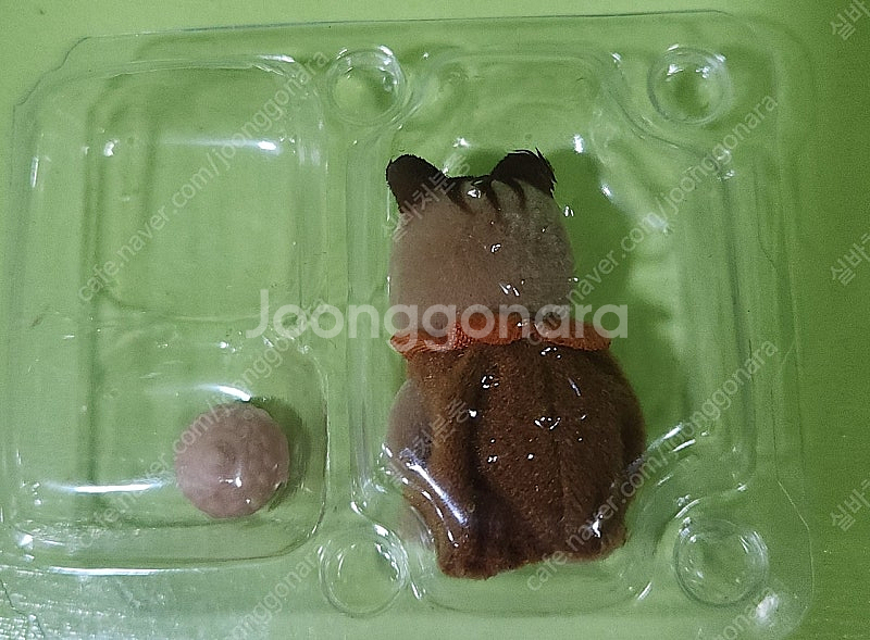 실바니안 블라인드 숲속의 아기 다람쥐--1