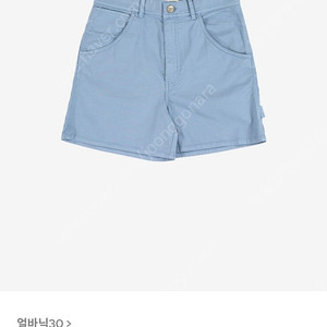 얼바닉30 carpenter shorts (S size) 페일블루