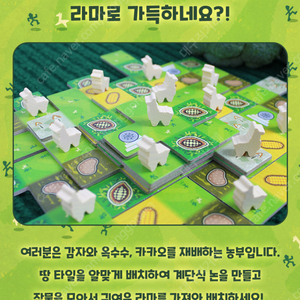 라마랜드 팝니다.