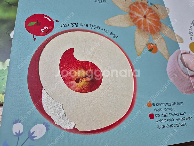아람 그리스로마신화, 아람 자연이랑, 비룡소 그림동화,...--5