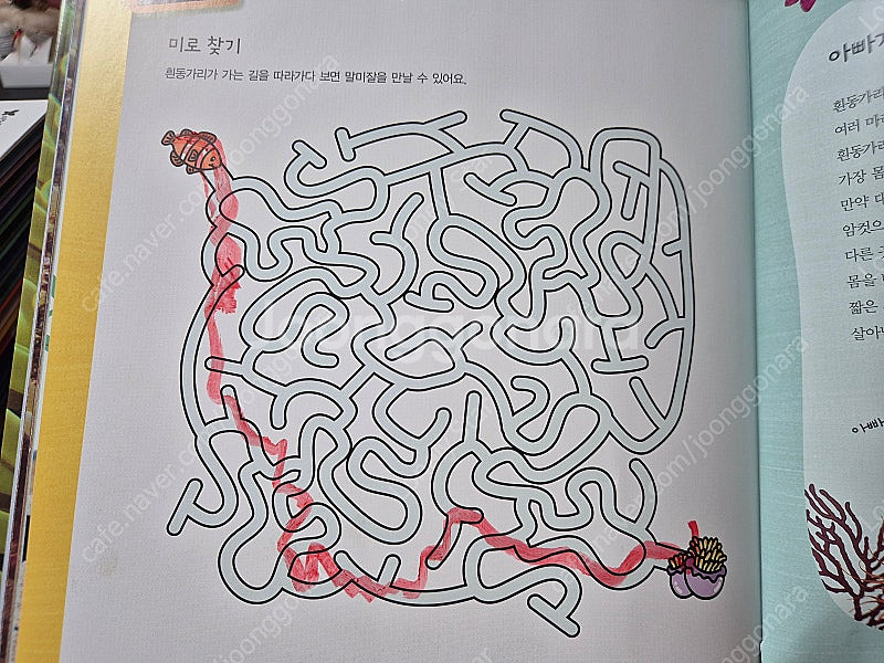 아람 그리스로마신화, 아람 자연이랑, 비룡소 그림동화,...--7