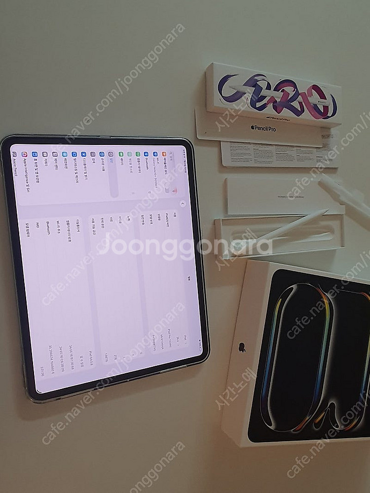 2025 아이패드 프로 13 M4 셀룰러 2Tb 최고스...--4
