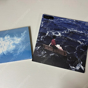 (미개봉)새소년 여름깃, 비적응 cd