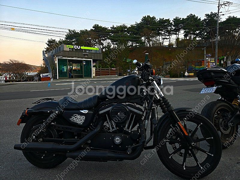 가격내림 20년식 할리데이비슨 아이언883 짧은키로수(...--0