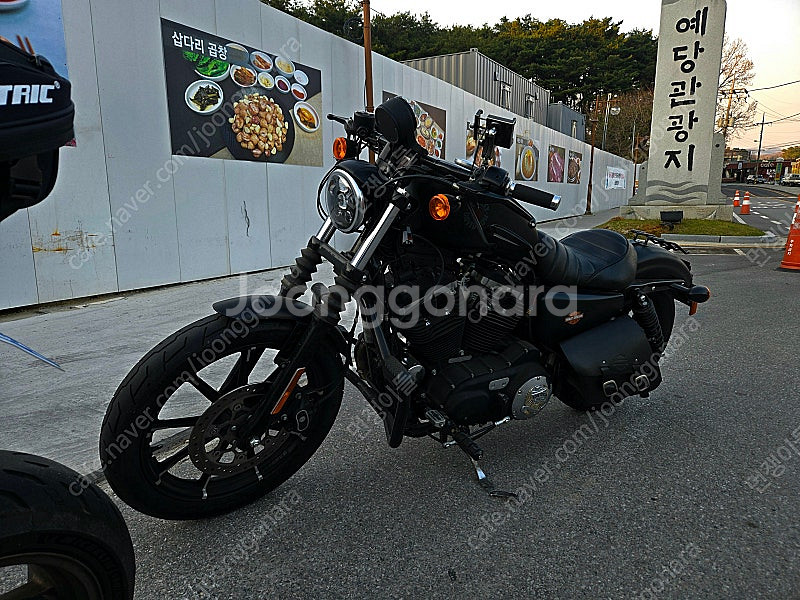 가격내림 20년식 할리데이비슨 아이언883 짧은키로수(...--2