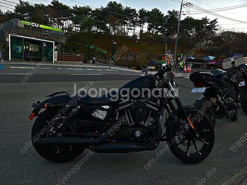 가격내림 20년식 할리데이비슨 아이언883 짧은키로수(...--5