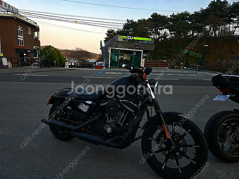 가격내림 20년식 할리데이비슨 아이언883 짧은키로수(...--6